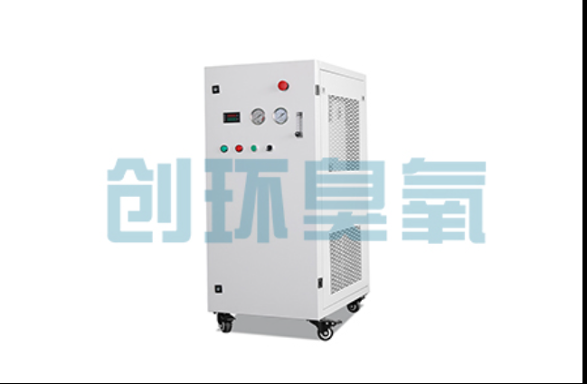 辛集工厂化养鲈必看:2026年臭氧发生器替代传统消毒的最新方案