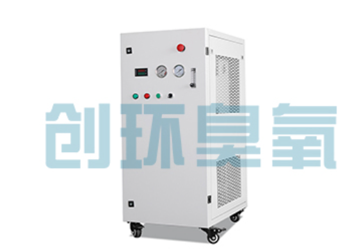 辛集石斑鱼养殖水质调控完整指南:臭氧发生器配置与操作步骤