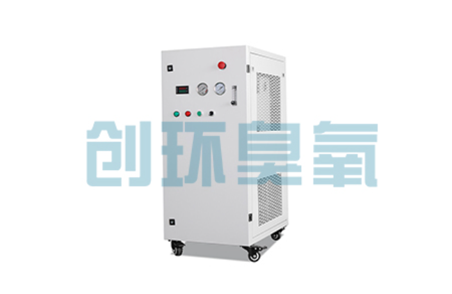 辛集比传统换水更高效?臭氧发生器在石斑鱼养殖中的水质净化原理解析